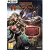 Image de Donjons et Dragons Neverwinter PC en occasion ou reconditionné