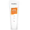 Image de Goldwell Dualsenses Color Revive Shampoo 250ml