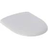 Image de Geberit Renova Nr.1 Siège WC avec couvercle, amovible, 573015000