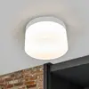 Image de Plafonnier LED Helestra Liv Ø 20 cm