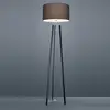 Image de Helestra Certo lampadaire trépied, anthracite