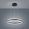 Image de Suspension LED LIV 60 LED IP20 Noir mat