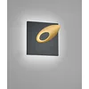 Image de Applique murale LED Tail - IP54 - Noir - Doré