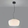 Image de Helestra Veda suspension en verre opale, blanche
