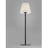 Image de Lampadaire MORIS-XL - Lampe d'extérieur - E27, IP44 - Graphite