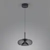 Image de Helestra Sica suspension LED noire/gris fumée