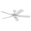 Image de CasaFan Royal 132 WE Ventilateur à lamelles domestique Blanc
