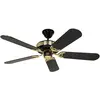 Image de CasaFan Ventilateur de plafond Black Magic