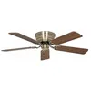 Image de Ventilateur de plafond plat 132-III MA Wing Chêne antique/hêtre