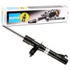 Image de BILSTEIN 22-051219 Amortisseur