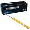 Image de Amortisseur Bilstein B8-24-170680
