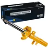 Image de BILSTEIN Amortisseur Jambe de suspension Pression de gaz Essieu avant droit amortisseurs Compatible avec FORD Focus Mk3 5 portes DYB 29-196517