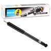 Image de Amortisseur Bilstein B4-19-215693