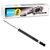 Image de Amortisseur Bilstein B4-19-241876