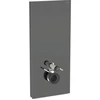 Image de Geberit Module WC mural Monolith Plus H 114 cm, abattant frein de chute, alu satiné chromé noir