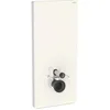 Image de Geberit Monolith PLUS module sanitaire pour WC suspendu, 114cm, entrée deau derrière au centre, avec tubulure de raccordement, 131.231.JL.7, Couleur: Verre gris sable