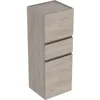 Image de Geberit Renova Plan Armoire Suspendue Centrale avec Deux Portes, 39x105x36cm, 501922, 501.922.00.1, Couleur: Noyer Hickory Clair/Film structuré