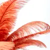 Image de KARE Feather Palm lampe à poser plumes, rouille
