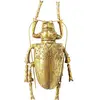 Image de Kare Design Décoration Murale Longicorn Beetle, Or, Animal Insecte, Sculpture, Elegante, Art, Moderne, Deco Intérieur, Decoration Chambre, Salon, Maison, Cadeau, 27 x 15 x 7 cm