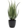 Image de Kare Design Plante décorative Aloe 69cm