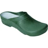 Image de Gartenclog PVC Taille 43/44 Olive