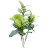 Image de Europalms 61309 Plante de Décoration Arbre Caoutchouc Vert 100 cm