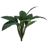 Image de Europalms 61308 Plante de Décoration Sagou Palm Vert 45 cm