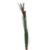 Image de Europalms 82600127 Touffe 152 cm en Herbe de Reed avec Cattails, Vert foncé