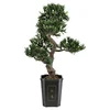 Image de Bonsai Podocarpus 313 Spitzen 80cm, Kunstpflanze