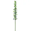 Image de Europalms 82600200 Eucalyptus de Cristal, Vert, 81 cm 12 x, Taille Unique