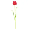 Image de Europalms 82600205 Cristal Tulipane, Rouge, 61 cm, Taille Unique