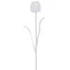 Image de Europalms Cuff Cristal Transparent 61 cm 12 x