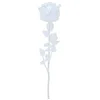 Image de Europalms 82600210 Crystal Rose, Clear, 81 cm12 X