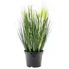 Image de Europalms 61261 Plante de Décoration Feathergras Blanc/Vert 60 cm