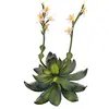 Image de Europalms 32 cm en EVA Stonerose, Rose