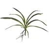 Image de EUROPALMS Feuille d'orchidée Artificielle Vert 45 cm Feuilles d'orchidées Douces au Toucher avec Racines