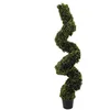 Image de Europalms 150 cm en buis Spirale, Vert