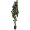 Image de Europalms 61451 Plante de Décoration Schefflera Vert 120 cm