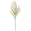 Image de EUROPALMS Branche d'eucalyptus Jaune/Vert 110 cm | Branche réaliste en Plastique