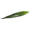 Image de Europalms 60 cm en Aloe Feuille (Eva), Vert