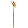 Image de Europalms 95 cm en Paradis Oiseaux Spray, Orange