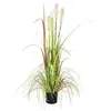 Image de Europalms 61431 Croissance Sauvage Vert 120 cm