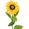 Image de Europalms 82522097 Tournesol 70 cm