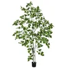 Image de Europalms 180 cm en Bouleau, Arbre Vert