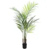 Image de Euro Palms 82600127 Touffe 125 cm 1 pièce Areca Palm avec de Grandes Feuilles, Vert