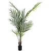 Image de Europalms Areca Palmier 165 cm, avec Motif Feuilles Vert