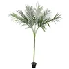 Image de Euro Palms 82600127 Touffe 180 cm 1 pièce Areca Palm avec de Grandes Feuilles, Vert