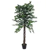 Image de Europalms 61269 Plante de Décoration Ficus Multi-Tronc Vert 150 cm
