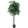 Image de EUROPALMS 82506726 Arbre de la Jungle Mangue, 180cm