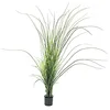 Image de EUROPALMS Graines artificielles de Roseau 145 cm